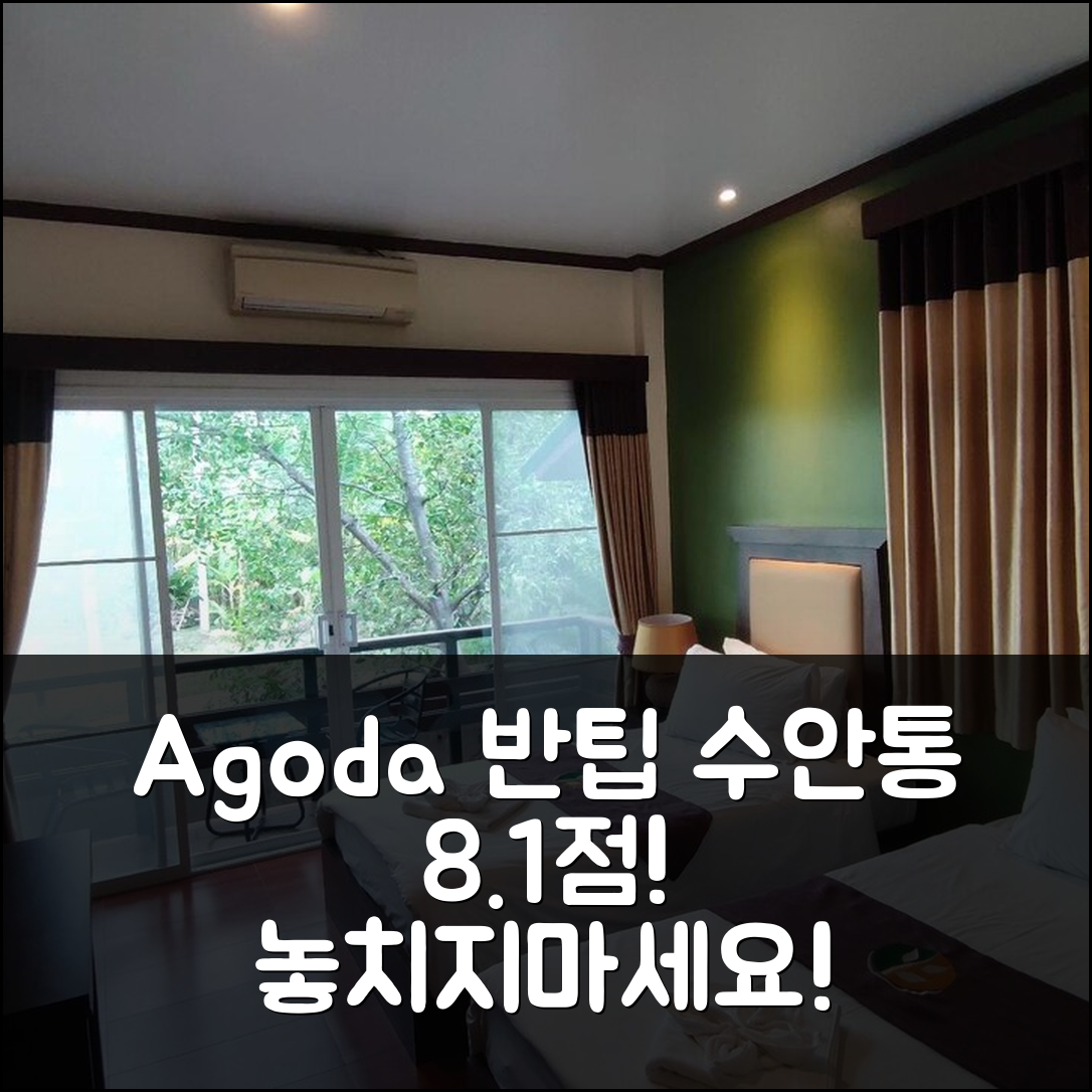 1. 반팁 수안통 암파와 8.1점! 놓치지 마세요!
