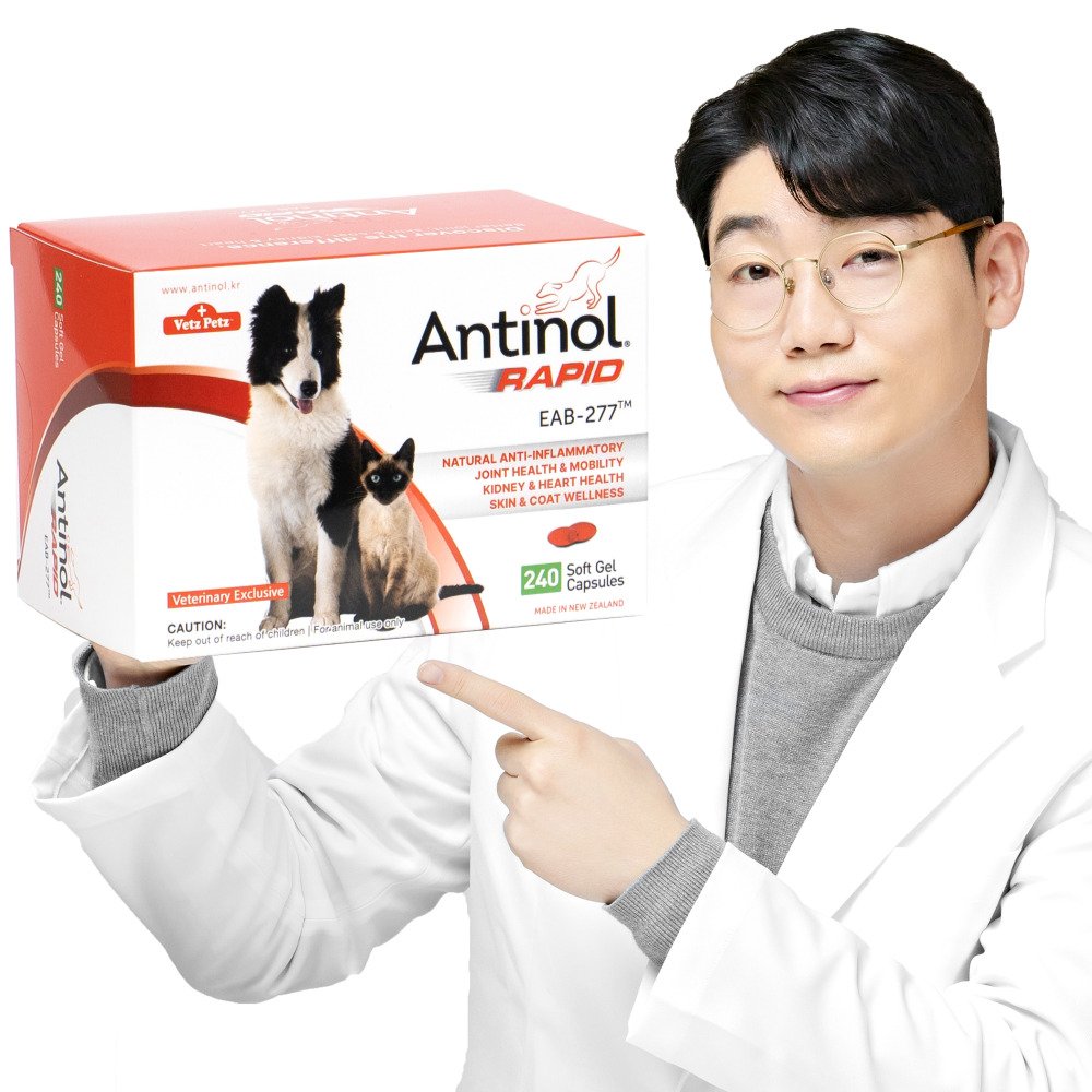 안티놀 래피드 강아지 고양이 관절 슬개골 영양제 관절건강, 240캡슐, 1개 상세 이미지 1