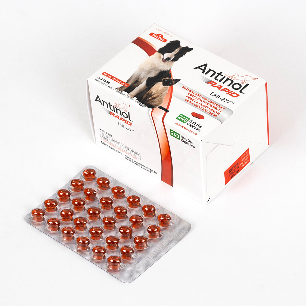 안티놀 래피드 강아지 고양이 관절 슬개골 영양제 관절건강, 240캡슐, 1개 상세 이미지 2